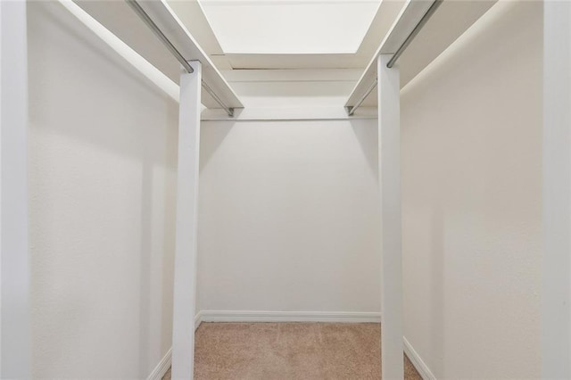 spacious closet with light colored carpet