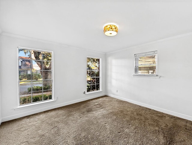 unfurnished room with ornamental molding and carpet flooring