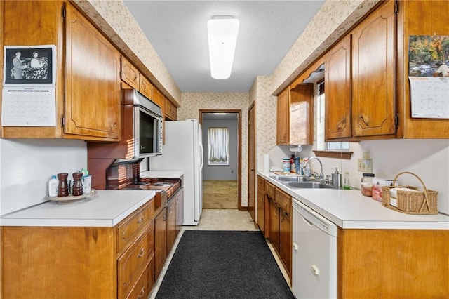 kitchen featuring white dishwasher, sink, light colored carpet, and a wealth of natural light