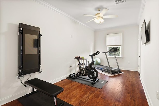 workout area featuring ceiling fan, ornamental molding, and dark hardwood / wood-style floors