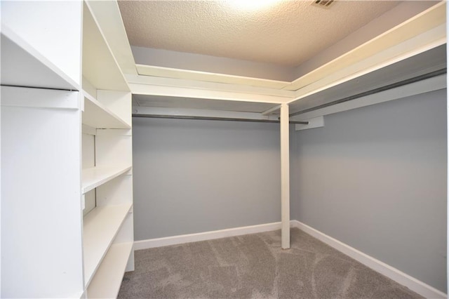 walk in closet with carpet