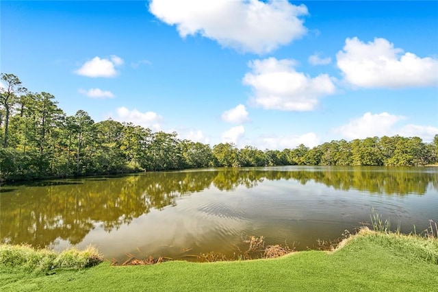 56339 Frank Pichon Rd, Slidell, LA 70458 - photo 15
