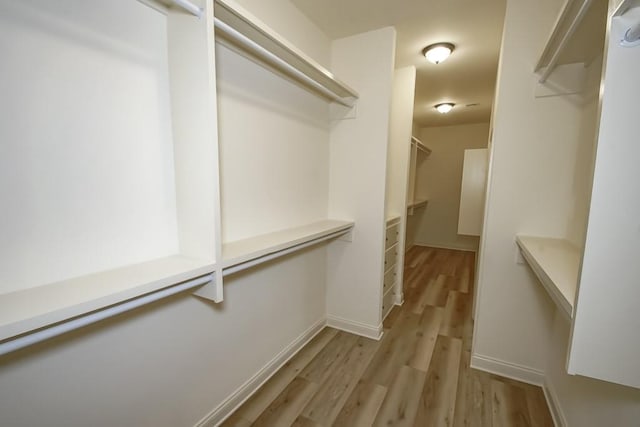 spacious closet with light wood-style flooring