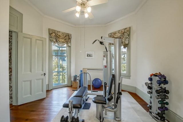 exercise room with light hardwood / wood-style floors, crown molding, and ceiling fan