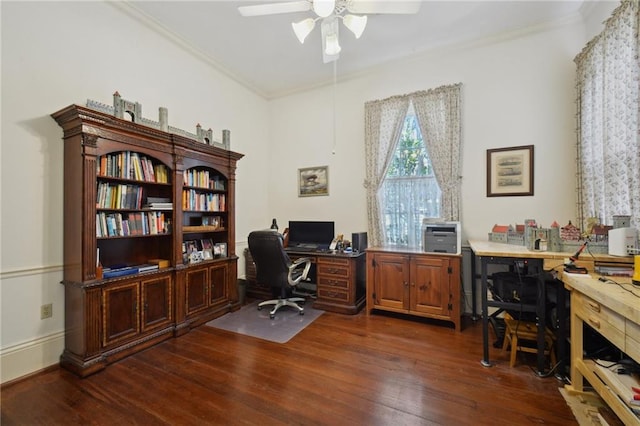 office space featuring ornamental molding, dark wood-type flooring, and ceiling fan