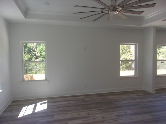 empty room with crown molding, a raised ceiling, and dark hardwood / wood-style floors