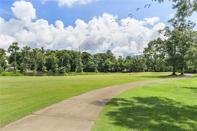 view of community with a yard