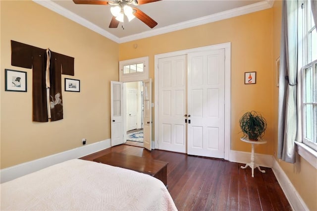 bedroom featuring dark wood finished floors, multiple windows, crown molding, and baseboards