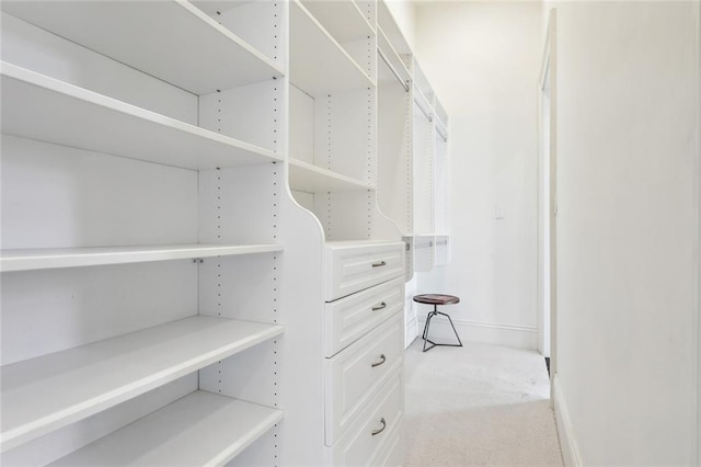 spacious closet with carpet floors