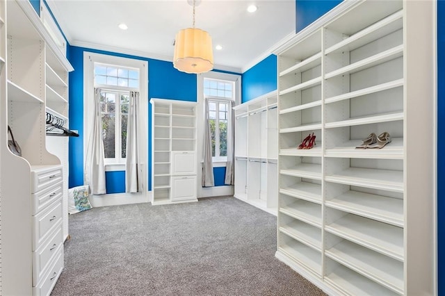 walk in closet with carpet