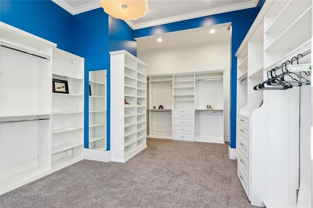 spacious closet featuring light colored carpet