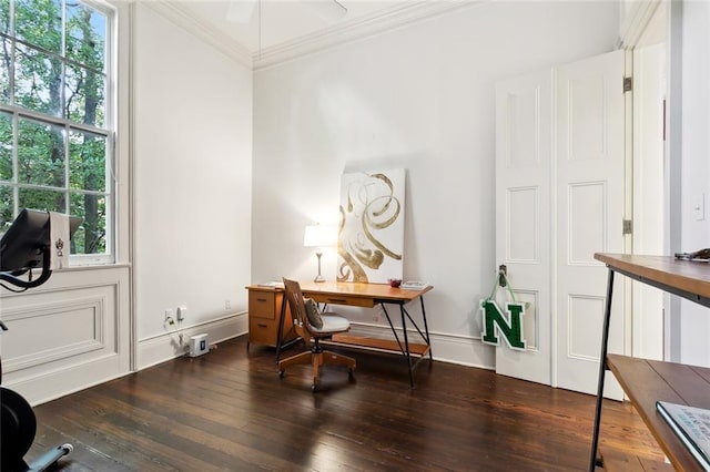 office space with crown molding, dark hardwood / wood-style floors, and plenty of natural light