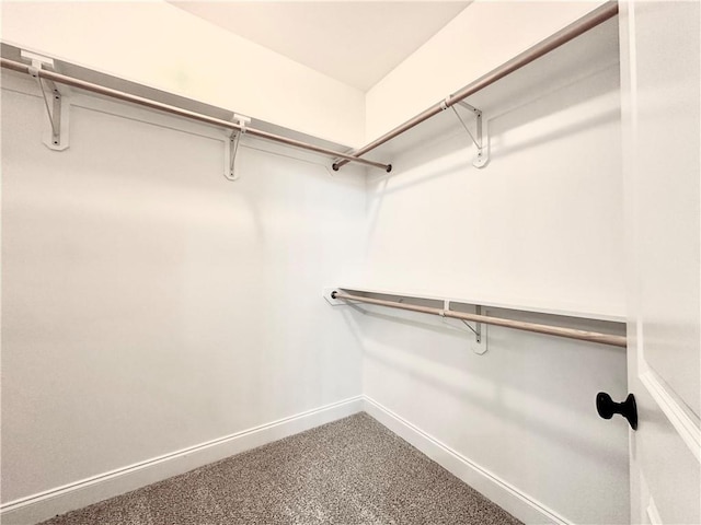 walk in closet with carpet