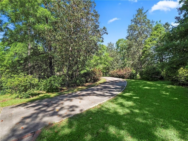 view of property's community with a yard