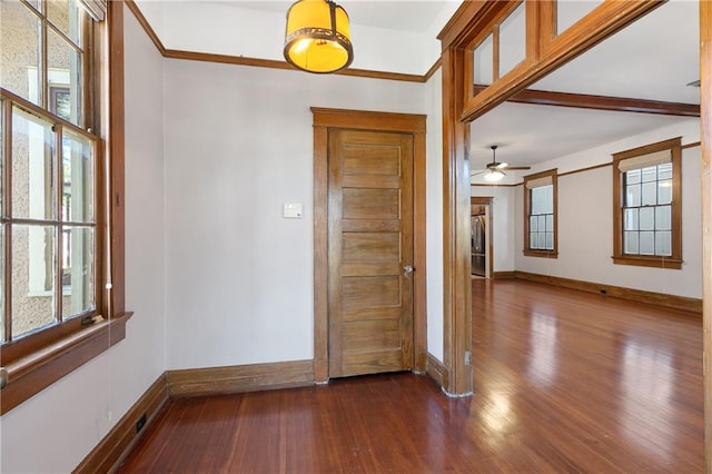 interior space with crown molding, ceiling fan, and dark hardwood / wood-style flooring