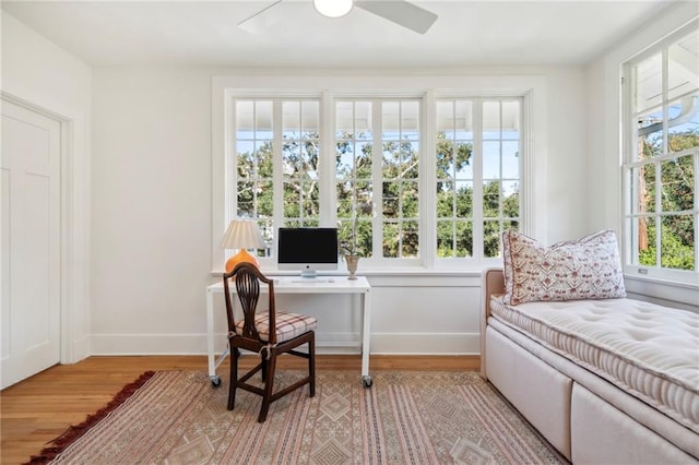 living area featuring ceiling fan, light wood-style flooring, and baseboards