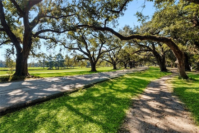 view of home's community featuring a lawn
