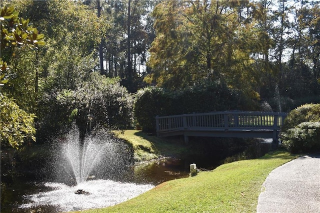 view of community with a yard