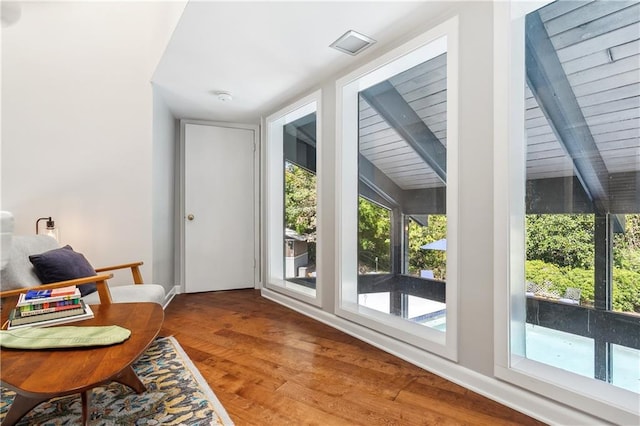 entryway featuring wood-type flooring