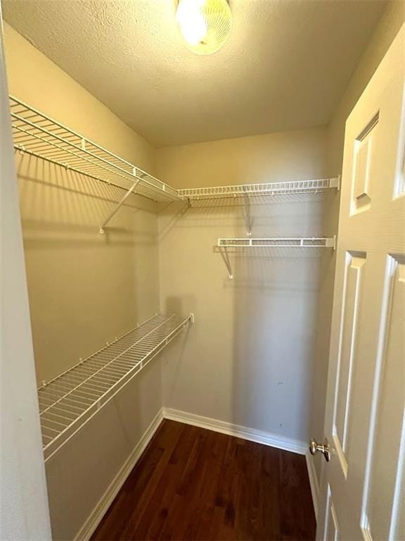 spacious closet with dark hardwood / wood-style flooring