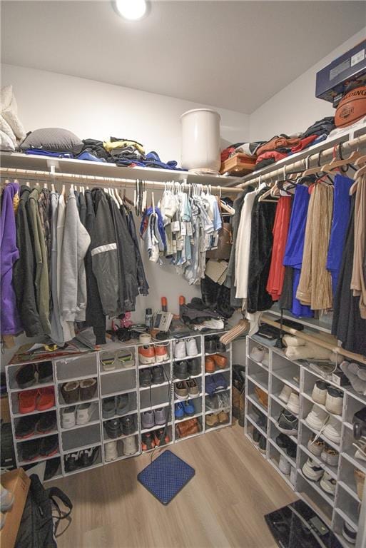 spacious closet featuring hardwood / wood-style floors