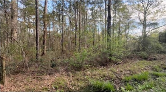 21263 Lowe Davis Rd, Covington LA, 70435 land for sale