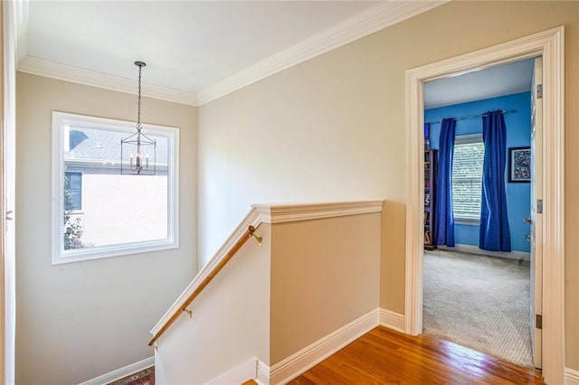 corridor featuring wood-type flooring and ornamental molding