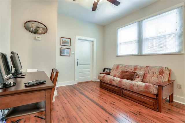 office space with ceiling fan and hardwood / wood-style flooring