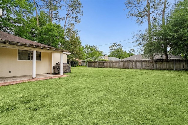 view of yard featuring a patio area