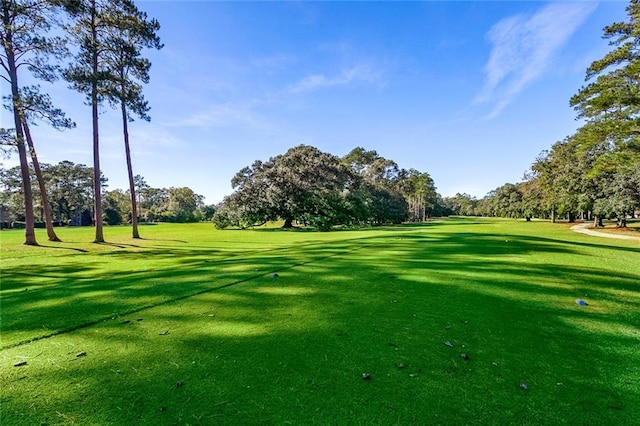 view of home's community with a lawn