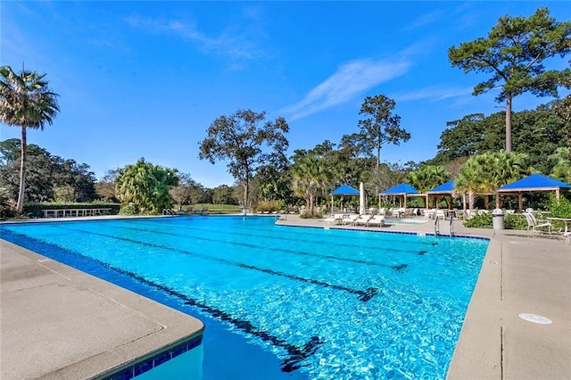 view of swimming pool featuring a patio area