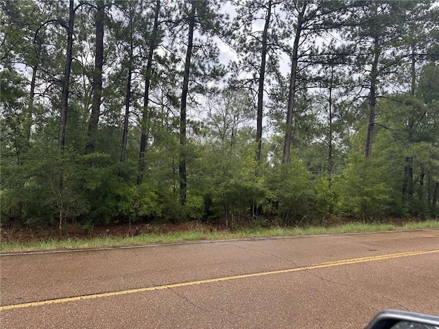 TBD 442 Highway, Tickfaw, LA 70466 - photo 1