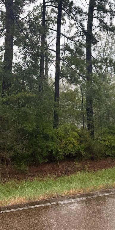 TBD 442 Highway, Tickfaw, LA 70466 - photo 2