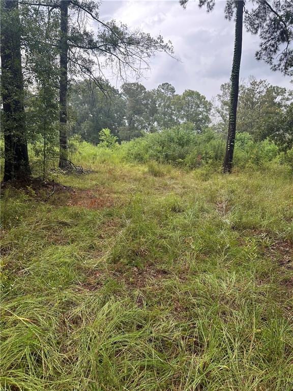 TBD 442 Highway, Tickfaw, LA 70466 - photo 3