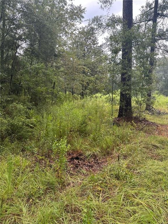 TBD 442 Highway, Tickfaw, LA 70466 - photo 4