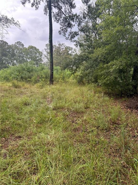 TBD 442 Highway, Tickfaw, LA 70466 - photo 5