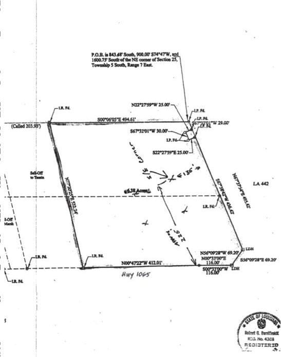 TBD 442 Highway, Tickfaw, LA 70466 - photo 6