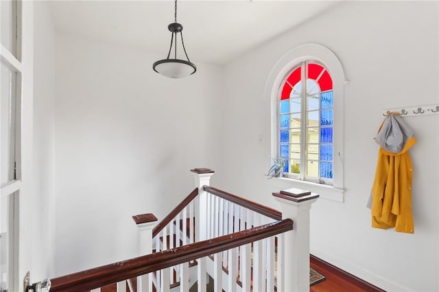 stairway featuring hardwood / wood-style flooring