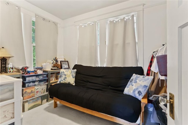 living area featuring carpet and a healthy amount of sunlight