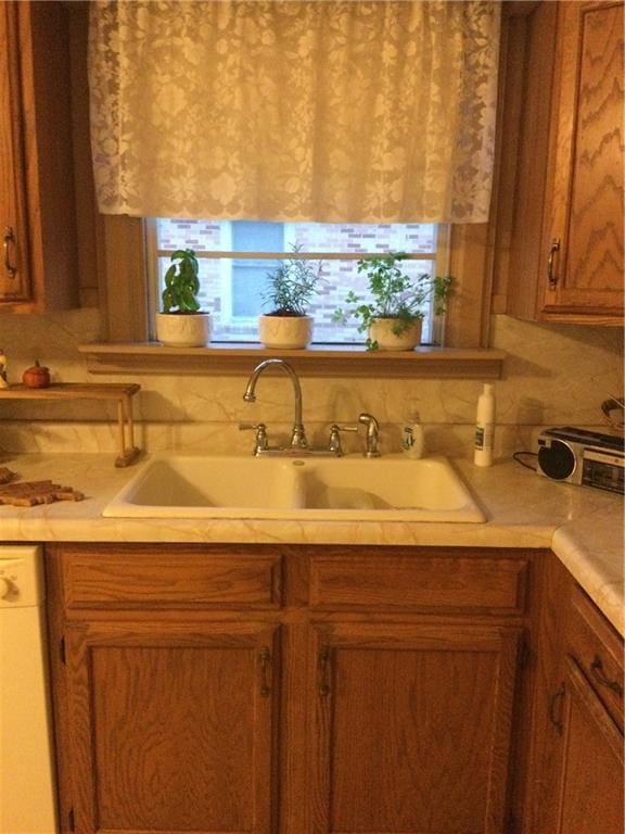 kitchen featuring sink and dishwasher