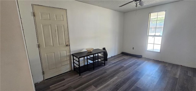 empty room featuring ceiling fan, a wealth of natural light, and dark hardwood / wood-style floors