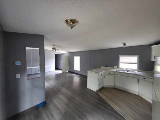 kitchen featuring white cabinetry, sink, dark wood-type flooring, and plenty of natural light