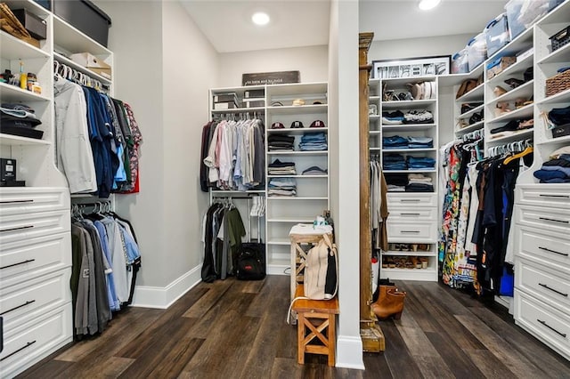 spacious closet featuring dark wood-type flooring