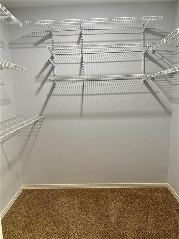 spacious closet with carpet