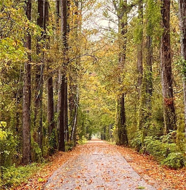 view of home's community with driveway and a view of trees