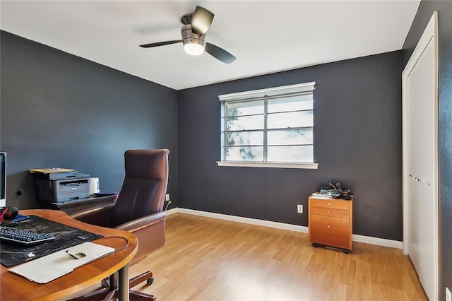 office with ceiling fan and light hardwood / wood-style flooring