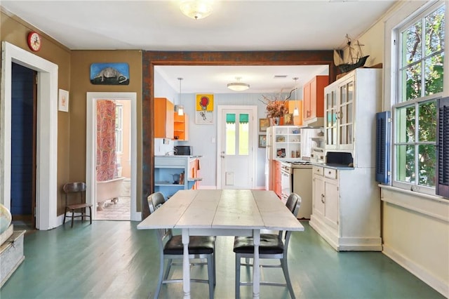 dining area with a healthy amount of sunlight and dark hardwood / wood-style flooring