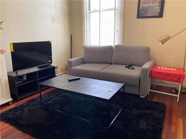 living room featuring dark hardwood / wood-style flooring