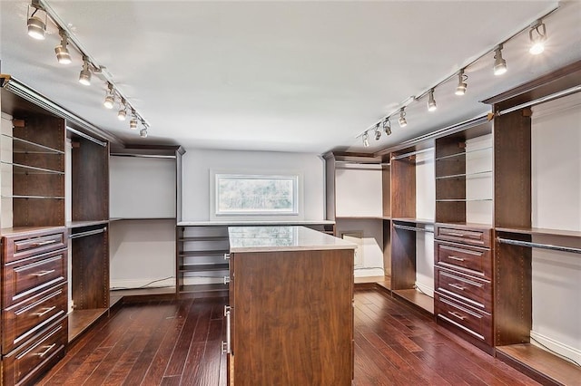 spacious closet featuring dark wood-type flooring