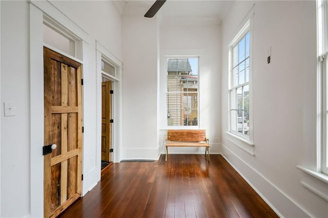 interior space with a wealth of natural light, dark hardwood / wood-style floors, and ceiling fan